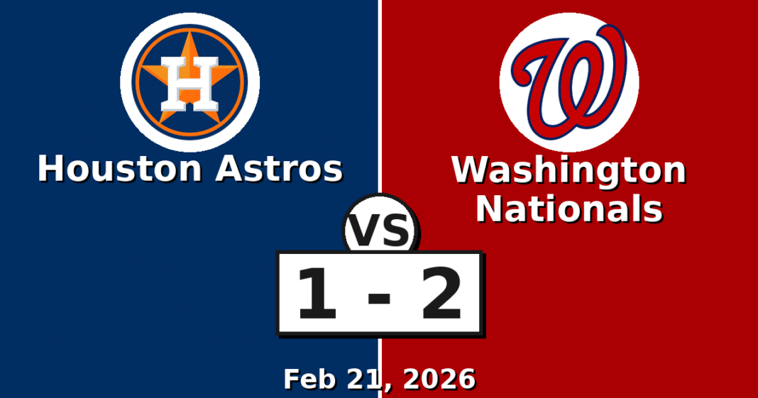 Houston Astros vs Washington Nationals Match Player Stats