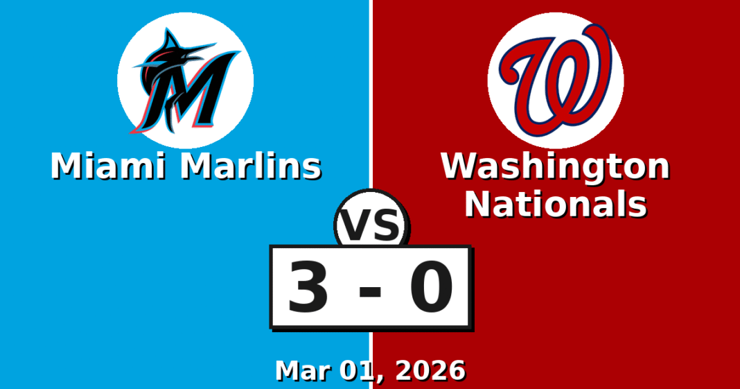 Miami Marlins vs Washington Nationals Match Player Stats