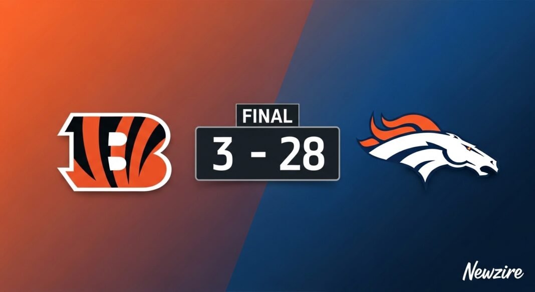 Cincinnati Bengals vs Denver Broncos Match Player Stats